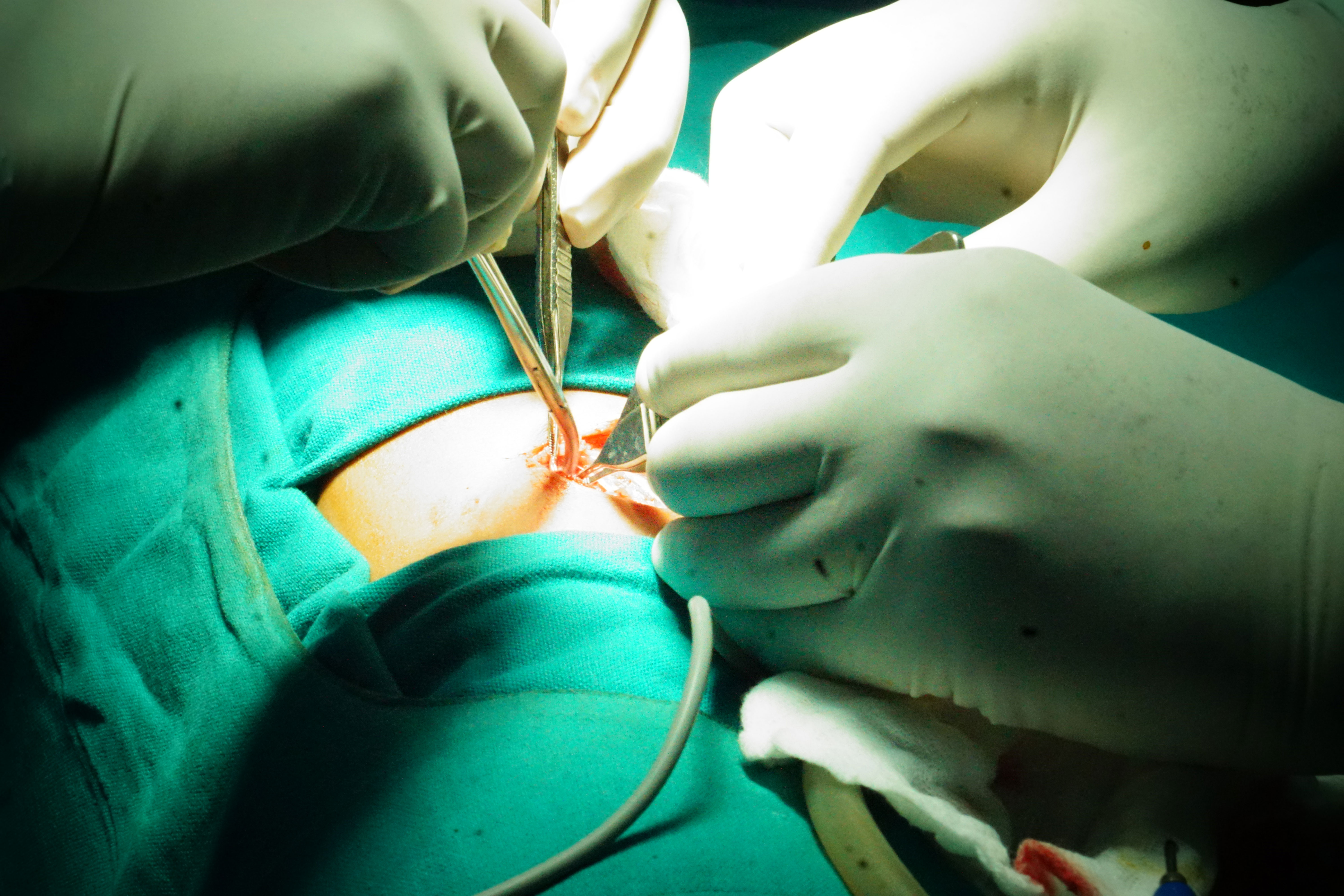 Sri Ramachandra Hospital